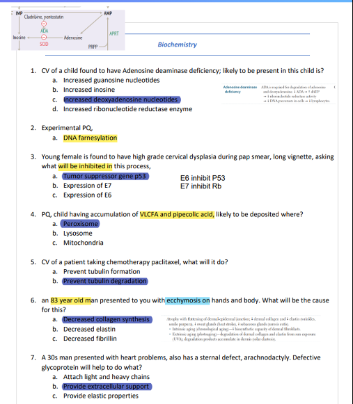 USMLE Step 1 Recalls Premium 2022-2025